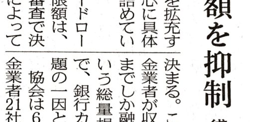 カードローン保証額を抑制